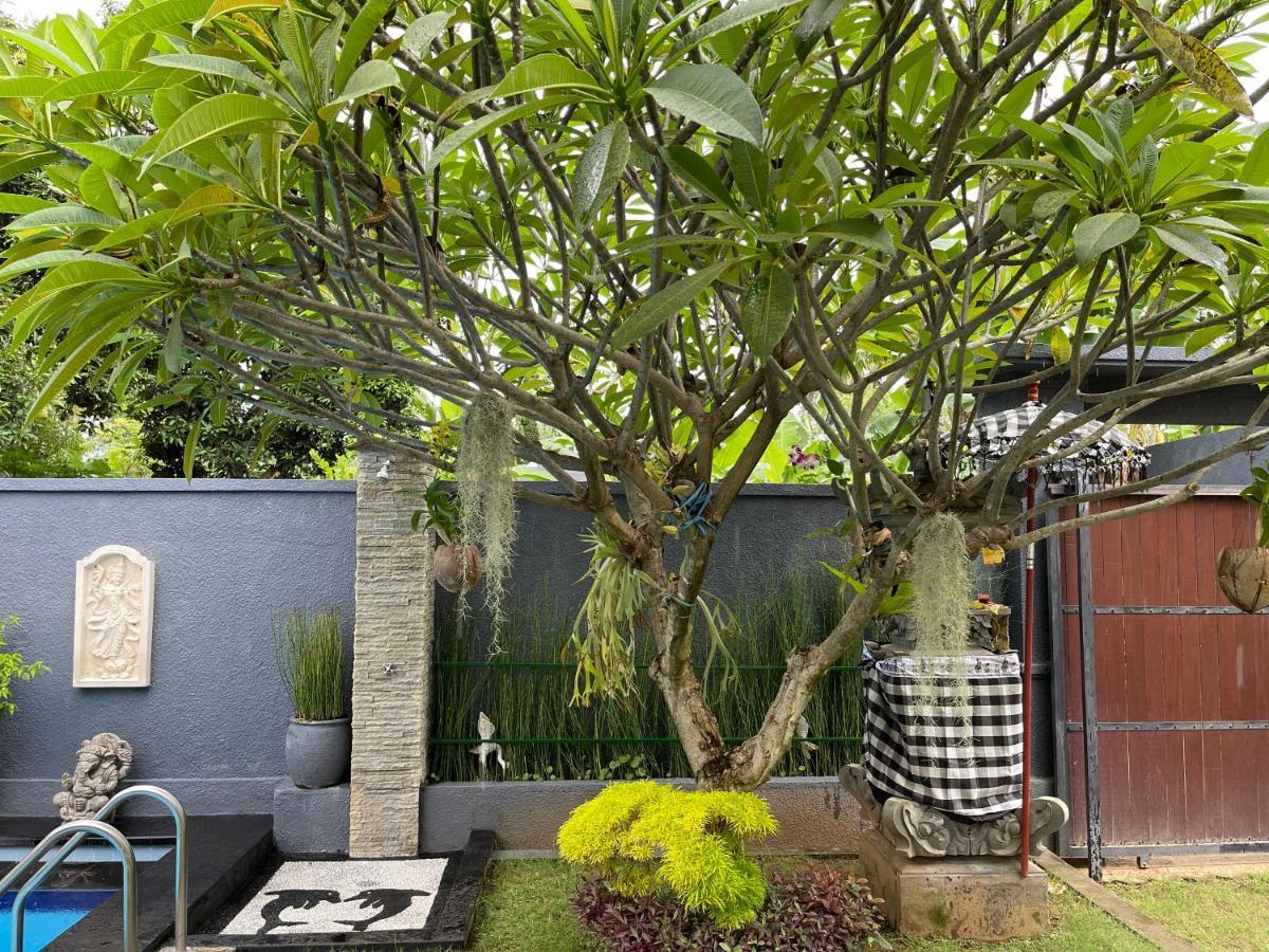 Отель Mias Jungle House Ловина Экстерьер фото